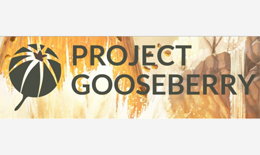 Projet Gooseberry, arts visuels