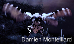 Damien Monteillard – Night Butterfly