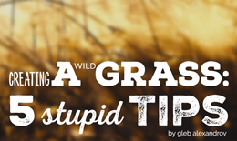5 Tips pour faire de l’herbe