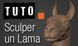 Sculpter un Lama