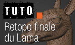 Lama – Retopo finale