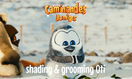 Shading & Grooming Oti